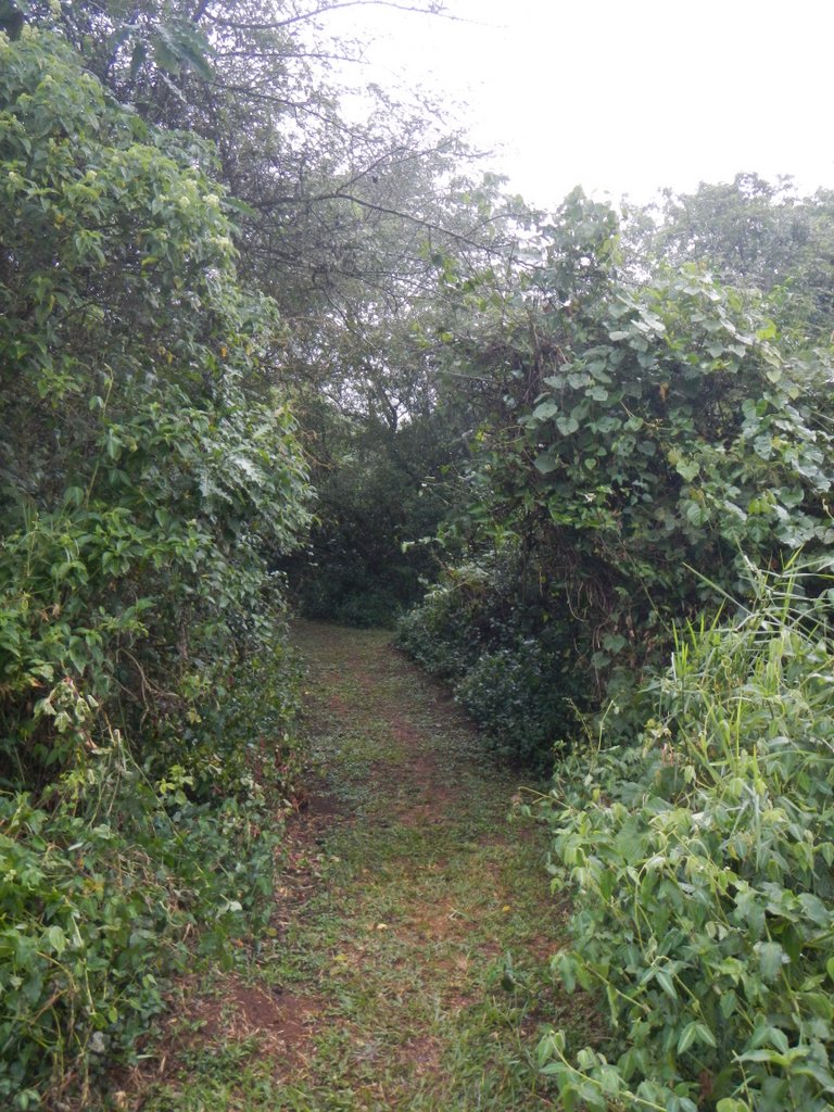 The path to my room