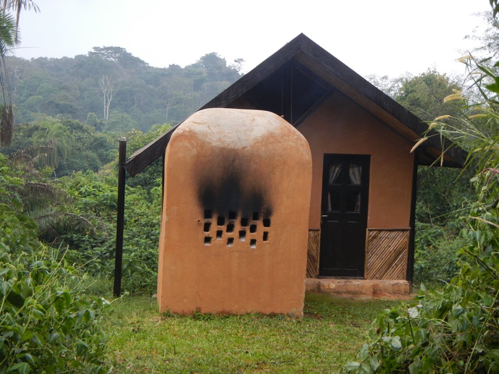 Little house in the forest